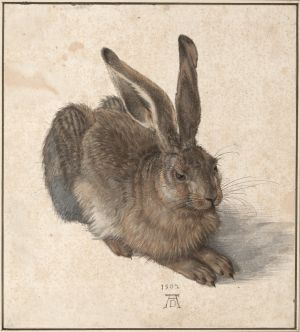 Dürer Hase.jpg