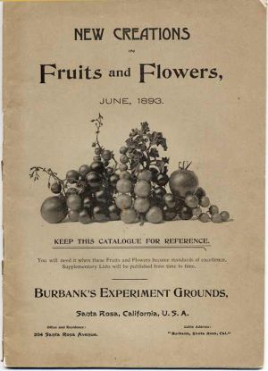 Burbank FruitFlower c1893.jpg