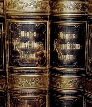 Meyer 1876 Bücherrücken.jpg