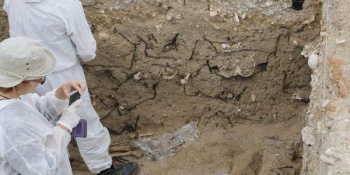Exhumierung Cadiz 2019.jpg